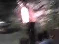 los borreguitos del tano