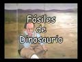 RECINTO MUSEOGRAFICO DE PALEONTOLOGÍA Y ARQUEOLOGÍA DE PASAC