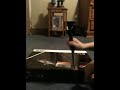 Asus - Laptop with Intel® Core™2 Duo Processor - Blue/Black *Unboxing* !