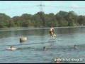 Hidrosparnas AquaSkipper WaterBird