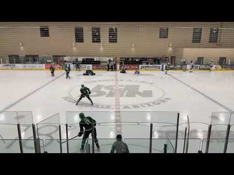 Rocky Mountain Division Regionals 2024 - Dallas Stars Elite 15O vs Rough Riders 15O (2-1 OT WIN)