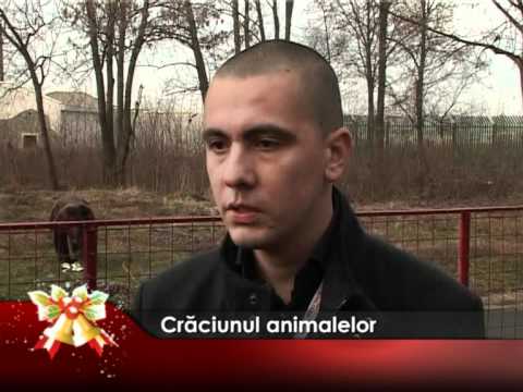 Crăciunul animalelor