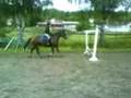 Candy Bliss hopper hinder