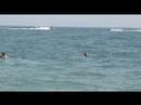 XJAM 2008 Videoblog 1. Woche 04 Seven Seas - Rutschencontest