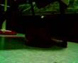 namwaan playing with radio car