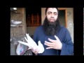 الحمام ال�...