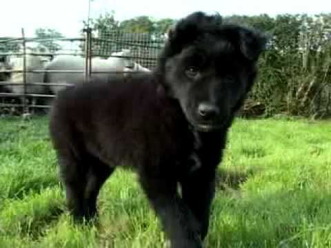 Last Minute Mothers Day Gifts Made At Home Best Western Royale Inn Stevens Point Wisconsin