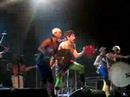 GOGOL BORDELLO IN ROME