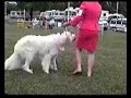 GPCC Specialty 2006 Bred-by Female