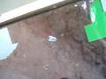 videos de 21 Fumero en tramos de rueda