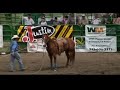 2007 Livermore Rodeo calf roping bronc riding