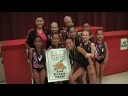 Elite Gymnastics Team 2nd Place