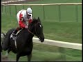 Horse-Riding: It's a Sport 4 