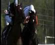 Horse-Riding: It's a Sport 4 Running