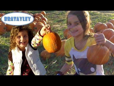 how to pumpkin patch