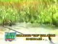 Dogs That Fought Snakes To Save Their Masters-Two Incredible Stories