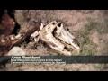 Bekijk video