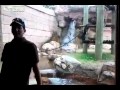 Jealous Monkey Attack at Zoo NEW 2012 HD