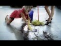 videos de Cosmic Gate Ft Emma Hewitt - Not Enough Time (Sied van Riel Remix) HOT GIRLS [Rielalistic 006]