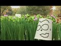 Watashi no Kimochi (Special long version)