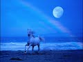 Wild Horses