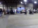 Mastini @ Baltimore Best of Breed Winner Cam2