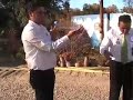 Show Trompos Cometa 2� congreso Yoyo