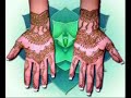 Hina,Mehndi Hina,Mehndi