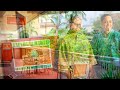 Click here to watch this video Monstera - Noodles & Sushi Hawaii 808-887-2711