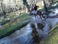 paseo en caballo por los bosques de  IFRANE....MP4
