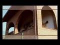 videos de Can Prats - Riudecanyes - Tarragona