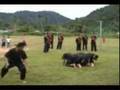 Seni Perguruan Silat Gayung Penggerak-Sembah & Lompatan