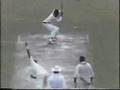Best-Yorker-in-Crick