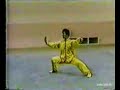 Chen taiji 56 mouvements
