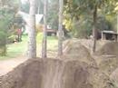 Biking In Parksville V1