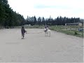 Spectacle Poney Club I Spectacle Poney Club I