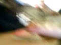 Thumbnail #2