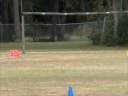 trebuchet at mims elemantary