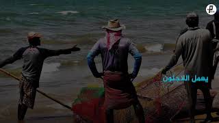 سلسلة مخيم | سوريا - مخيم اللاذقية