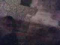 hit ilef