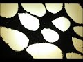ani-arena01.mov