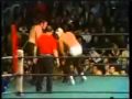Mil Mascaras & Spiros Arion vs Antonio Inoki & Giant Baba