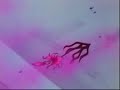 sailor moon la pelicula la promesa de una rosa pt 3 sailor moon la pelicula la promesa de una rosa pt 3