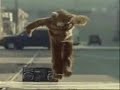 Bear Dances to The Anthem by Pitbull Lil Jon