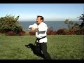 Seisan & Sanseiryu Kata and Bunkai by Henry Thom - Uechi Ryu