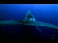 Caos no Clima | Aumento do nivel dos mares