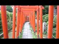 KAGAYA.COM Report http://www.kagaya.com東京、根津にある乙女稲荷を訪れた。根津神社のとなりに乙女稲荷はある。乙女稲荷神社にたどり着くにはおびただしい数の鳥居によってつくられた回廊をくぐらなければならない。回廊を進むと次第に現世と常世の狭間をさまよっているかのような感覚に陥る。東京には根津の乙女稲荷神社のように不思議で逸聞的な場所がぽつりぽつりと存在する。KAGAYA.COMレポートではこれからもこうした異聞を紹介していきたい。■根津神社/乙女稲荷神社〒113-0031東京都文京区根津1-28-9根津神社（ねづじんじゃ）は、東京都文京区根津にある神社。「根津権現」とも呼ばれている。日本武尊が1900年近く前に創祀したと伝える古社で、東京十社の一つに数えられている。境内はつつじの名所として知られ、近隣には森鴎外や夏目漱石といった日本を代表する文豪が近辺に住居を構えていたこともあり、これら文豪に因んだ旧跡も残されている。社殿は1705年の創建で、江戸幕府五代将軍・徳川綱吉による普請とされ、権現造（本殿、幣殿、拝殿を構造的に一体に造る）の傑作ともされている。社殿7棟が国の重要文化財に指定されている。近代文学の諸作品にも描かれてさらに知られるようになった。（wikipediaより）