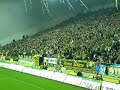 vitesse wie niet springt