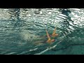Duo 1 Stade Fran�ais Natation Synchronis�e N1 junior 2008