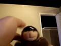 Click me to open the movie.